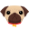 pug